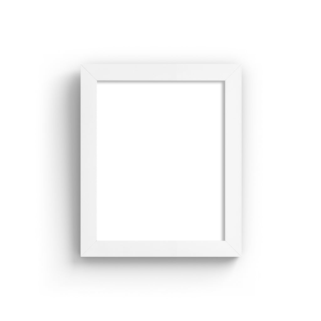 Image of a 2x4 white frame.