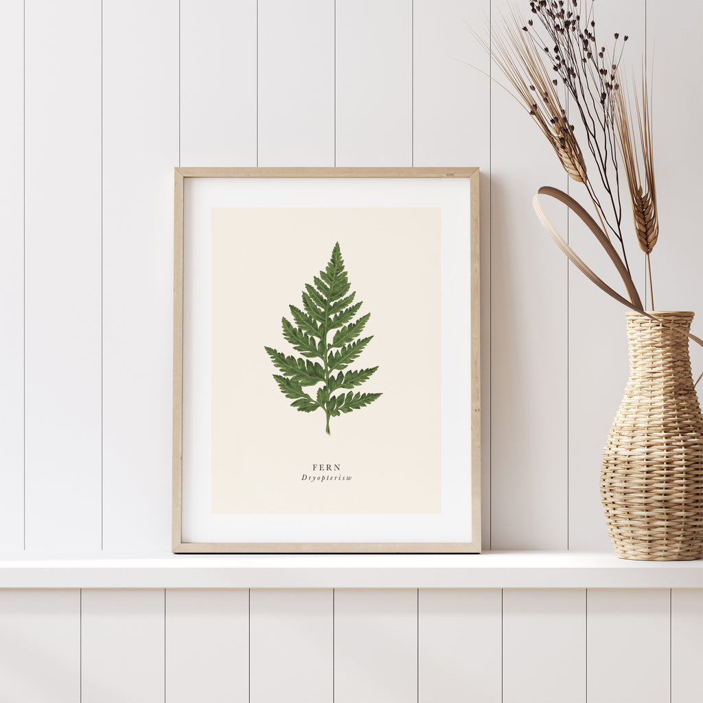 Traditional art print featuring a detailed illustration of a fern branch. The original and English title are labelled underneath. Art print is sat on a shelf leaning against a wall.