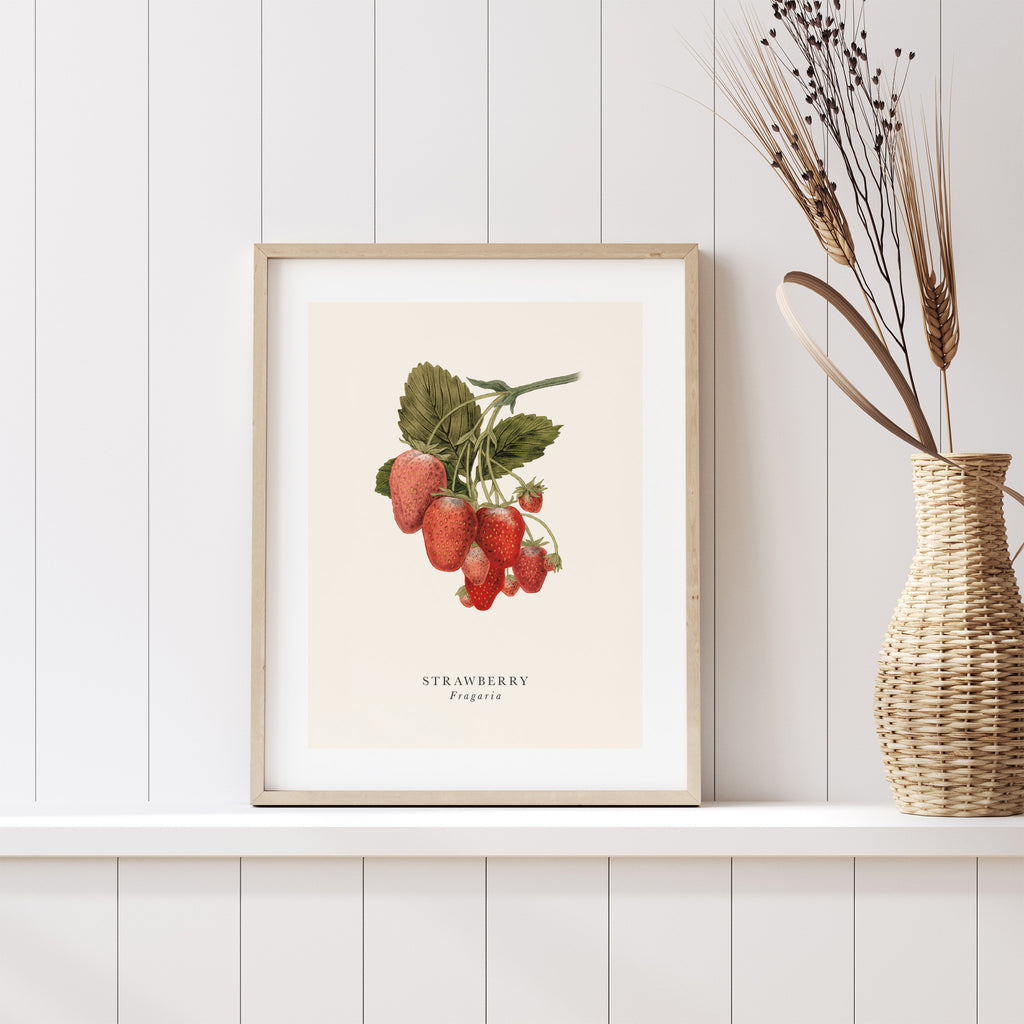 Traditional art print featuring a detailed illustration of a bunch of strawberries. English and original title are detailed below. Art print is leaning on a shelf next to a plant.