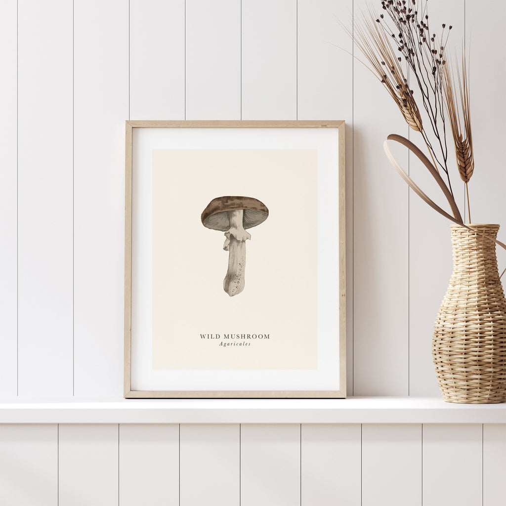 Traditional art print featuring a detailed illustration of a wild mushroom. The English and original name are detailed below. Art print is leaning on a shelf.