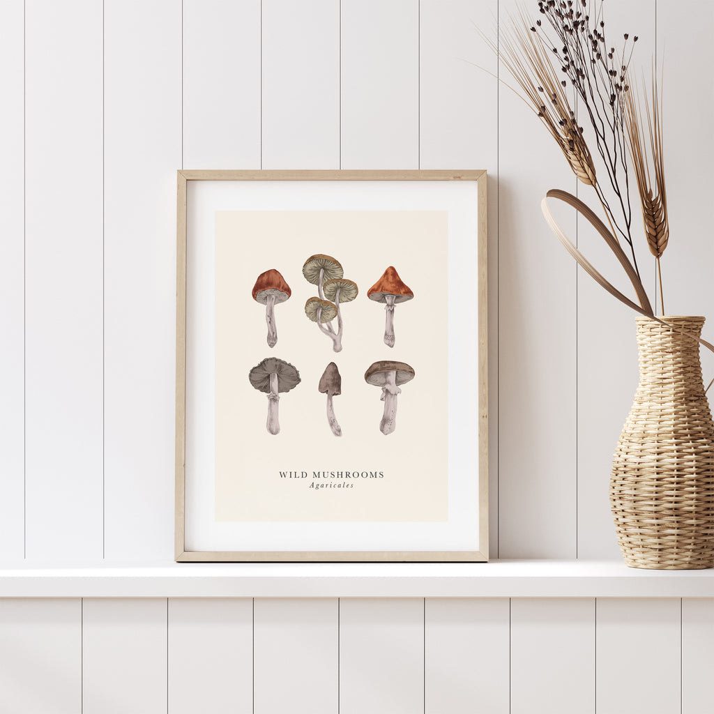 Traditional art print featuring a detailed illustration of multiple wild mushrooms. The original and English name are detailed below. Art print is leaning on a shelf.