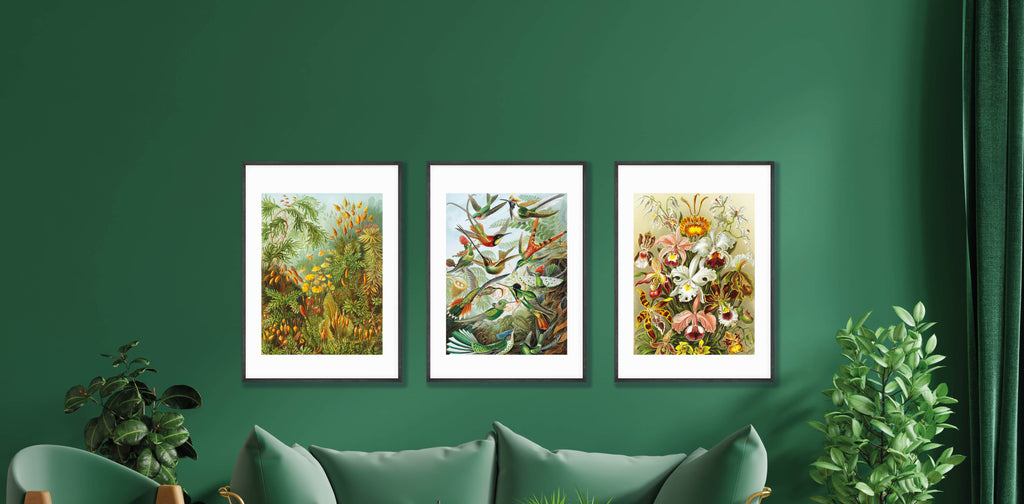 Botanical nature wall art prints, hung up on a green wall.