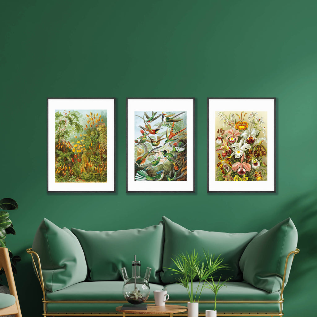 Botanical and animal wall art prints, hung up on a green wall.