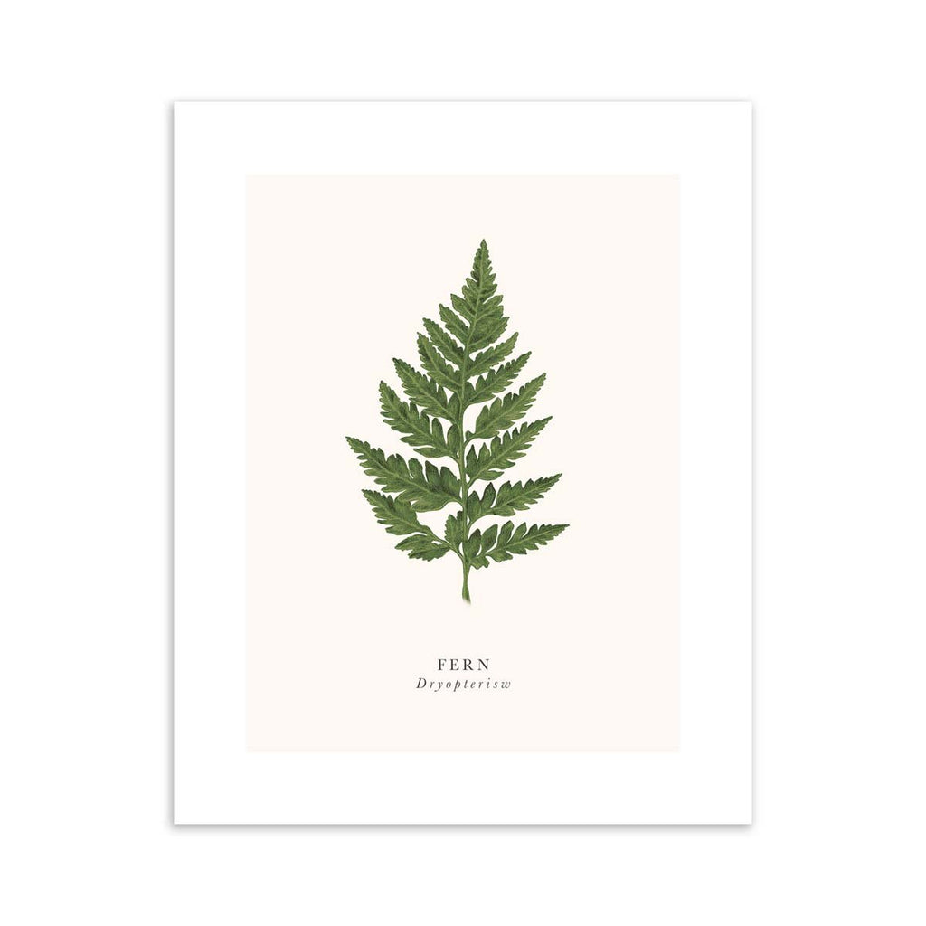 Traditional art print featuring a detailed illustration of a fern branch. The original and English title are labelled underneath.