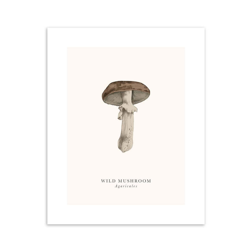 Traditional art print featuring a detailed illustration of a wild mushroom. The English and original name are detailed below.