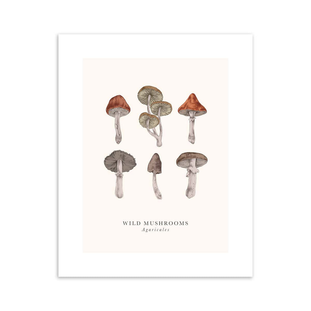Traditional art print featuring a detailed illustration of multiple wild mushrooms. The original and English name are detailed below.