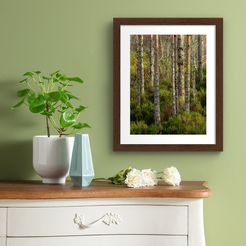 Photography art print featuring a vivid, forest scene, with the sunlight filtering through the trees. Art print is hung up on a green wall.