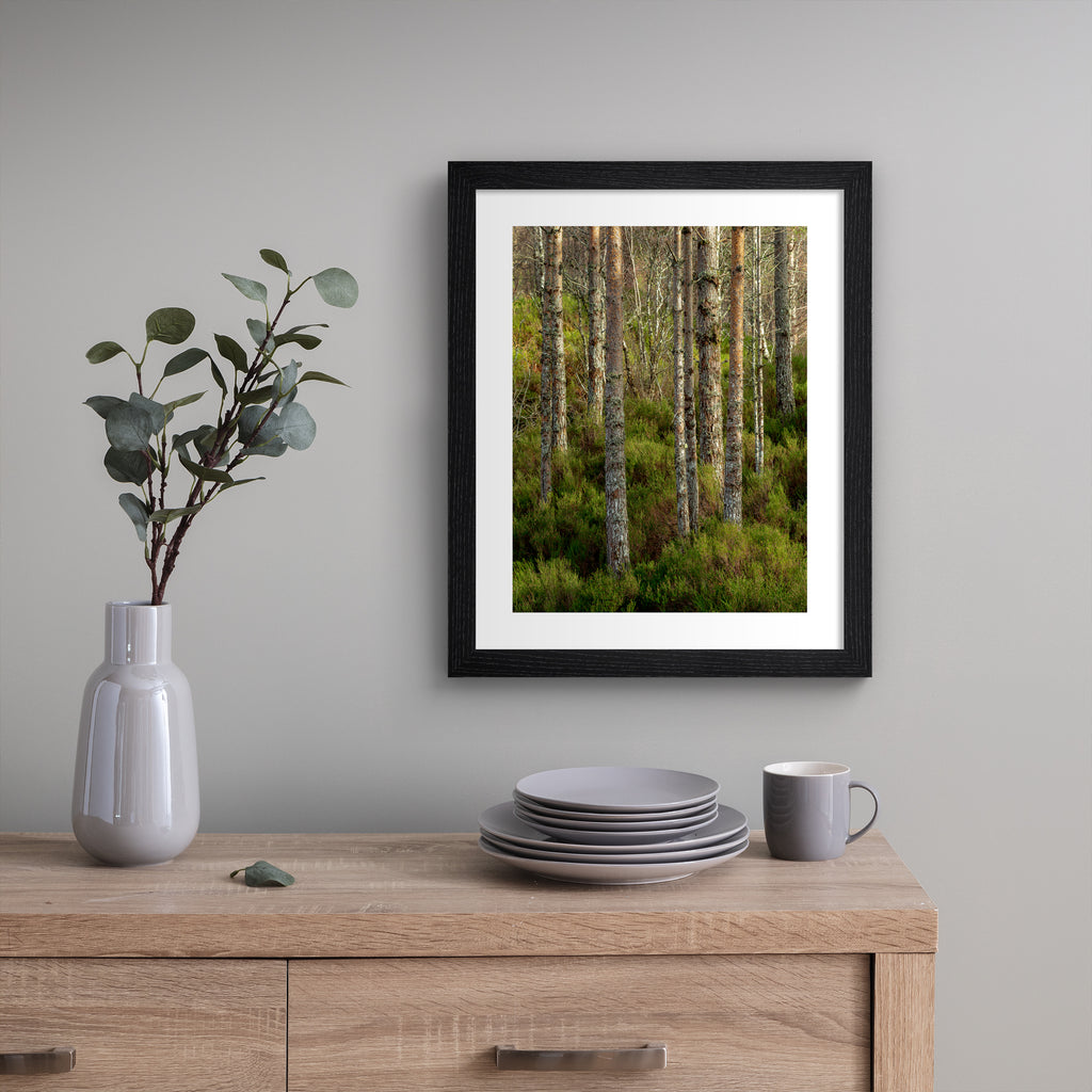 Photography art print featuring a vivid, forest scene, with the sunlight filtering through the trees. Art print is hung up on a grey wall.