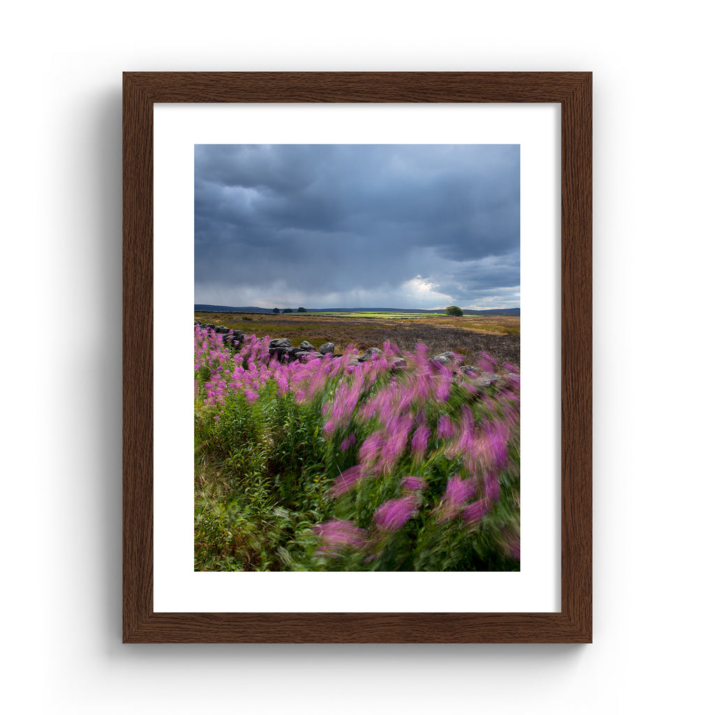 Beautiful photography art print featuring a windy field of beautiful flowers under a moody sky. Art print is in an oak frame.