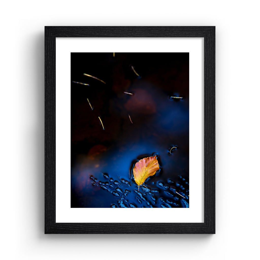 Photography art print featuring a fallen leaf floating on reflective water, in a black frame.