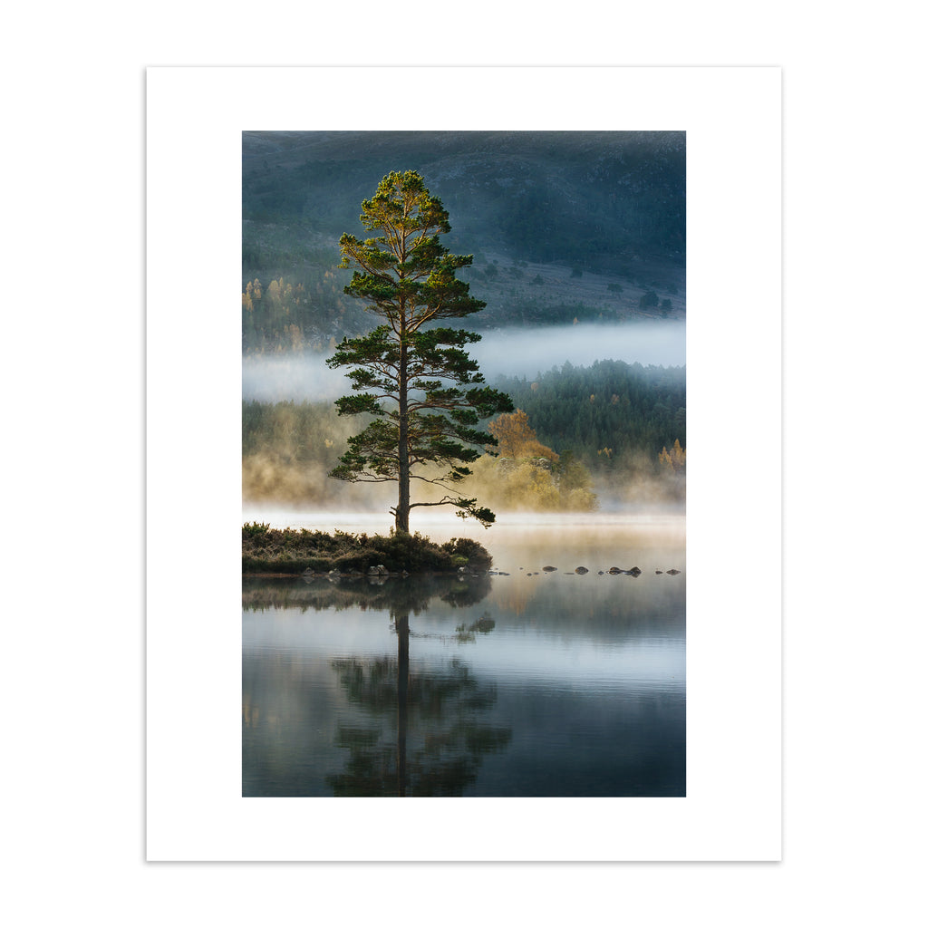 Photography art print featuring a tree standing on the edge of a reflective lake, bordered by a misty forest.