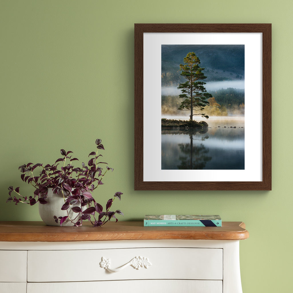 Photography art print featuring a tree standing on the edge of a reflective lake, bordered by a misty forest. Art print is hung up on a sage green wall.