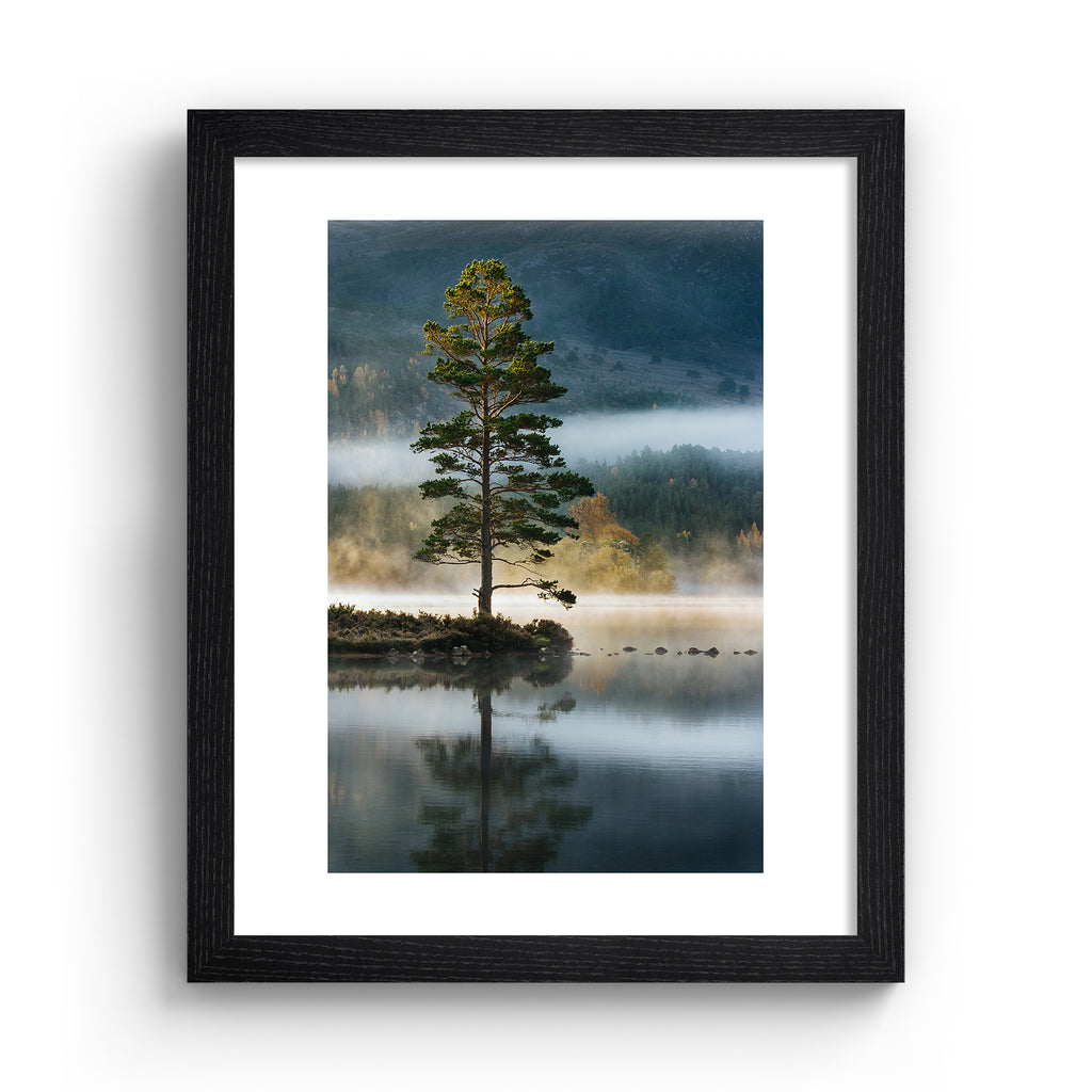 Photography art print featuring a tree standing on the edge of a reflective lake, bordered by a misty forest. Art print is in a black frame.