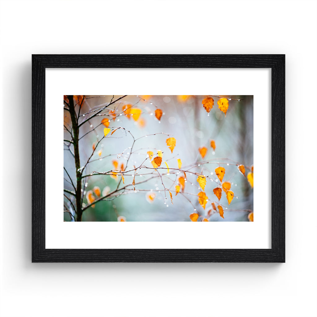 Photography art print featuring an Autumnal tree dripping with frost. Art print is in a black frame.