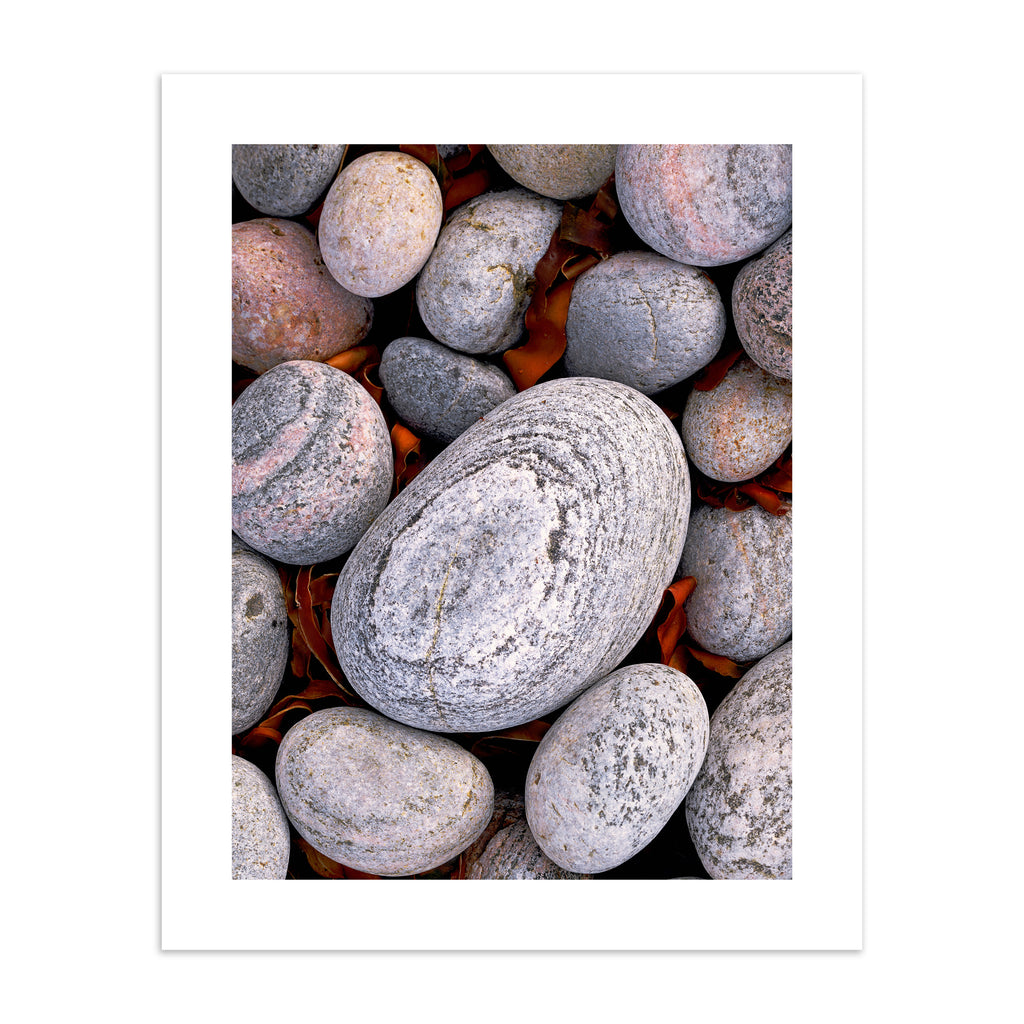 Beautifully simplistic photography art print featuring a close of up of pebbles found on a beach. 