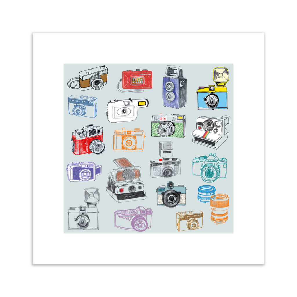 Playful art print featuring different types of retro cameras on a pale blue background.