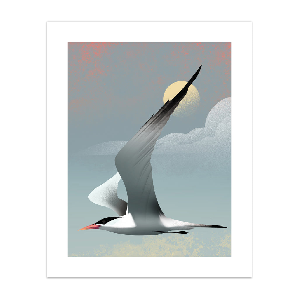  Striking art print featuring a grey tern flying in front of a moody blue sky.