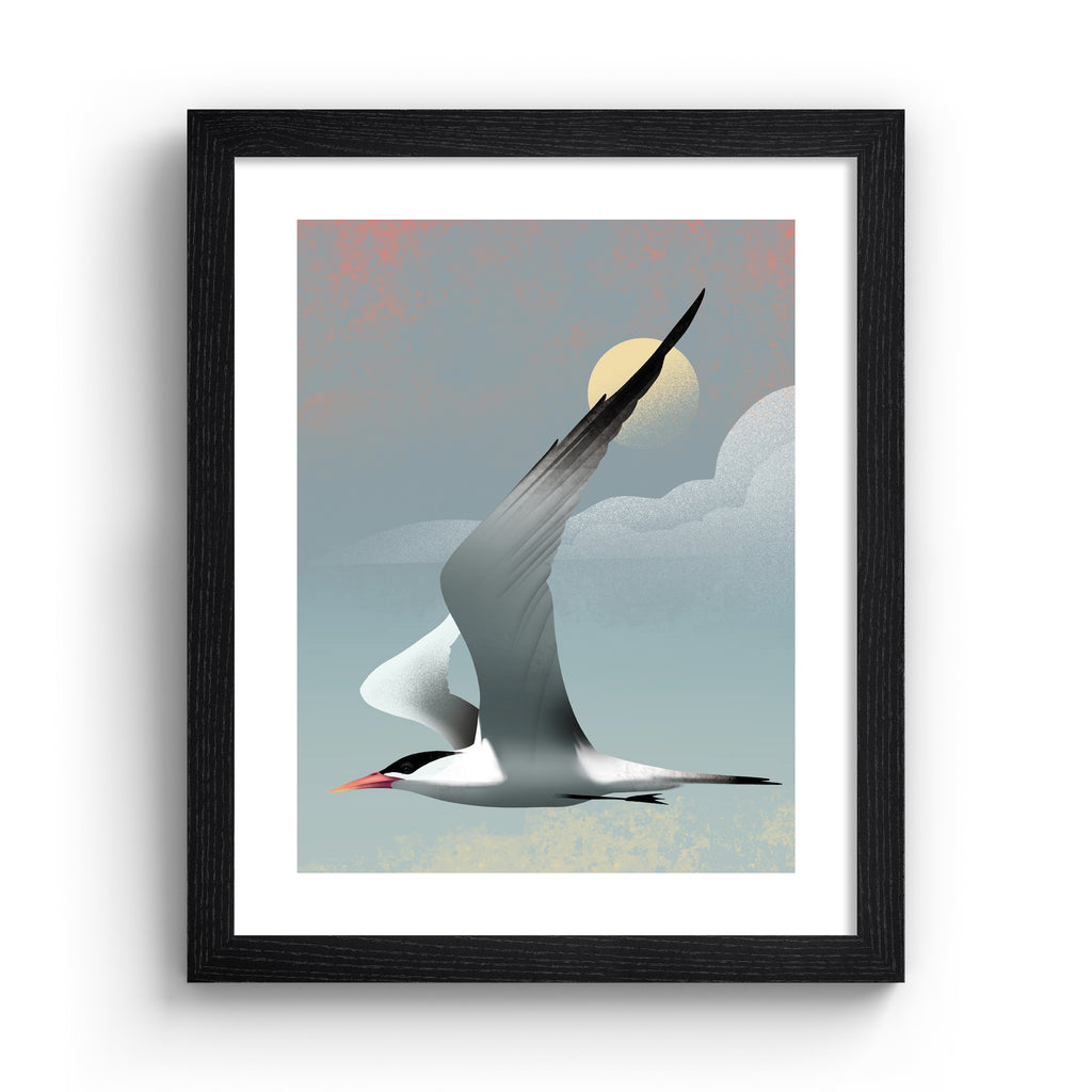 Striking art print featuring a grey tern flying in front of a moody blue sky. Art print is in a black frame.