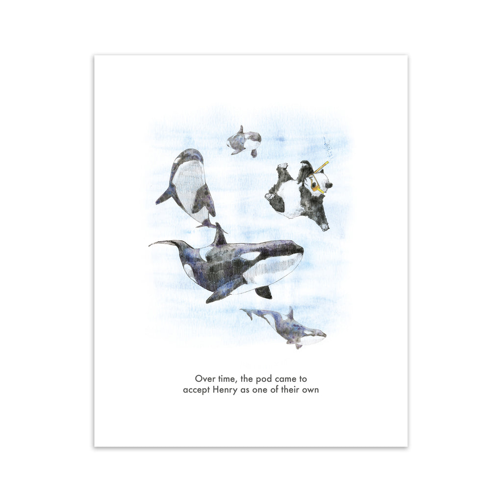 Humorous art print featuring an illustration of a panda swimming and 'blending' in with killer whales. Title underneath reads 'Over time, the pod came to accept Henry as one of their own'. 