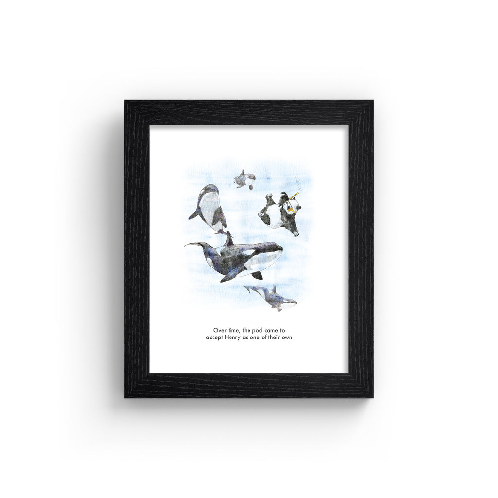 Humorous art print featuring an illustration of a panda swimming and 'blending' in with killer whales. Title underneath reads 'Over time, the pod came to accept Henry as one of their own'. Art print is in a black frame.