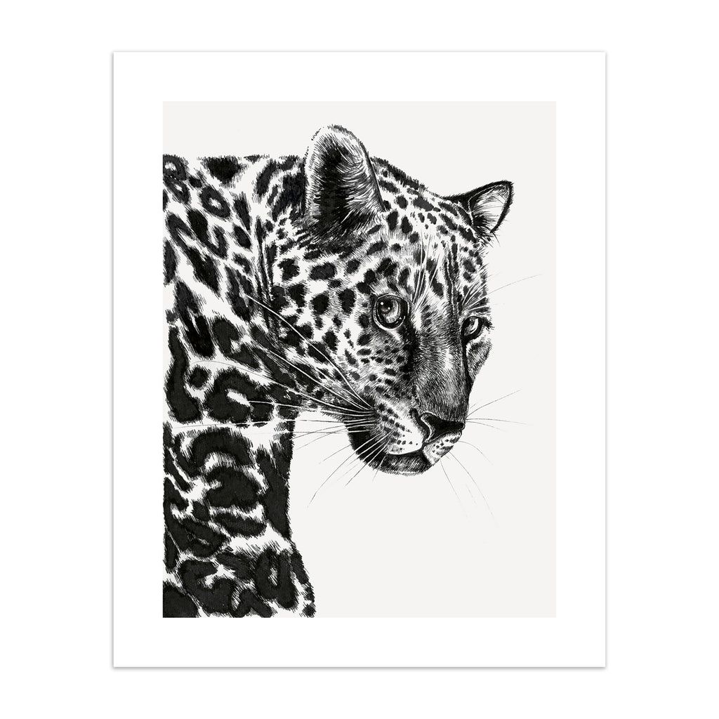 Beautiful art print featuring a detailed illustration of a leopard, in black and white. 