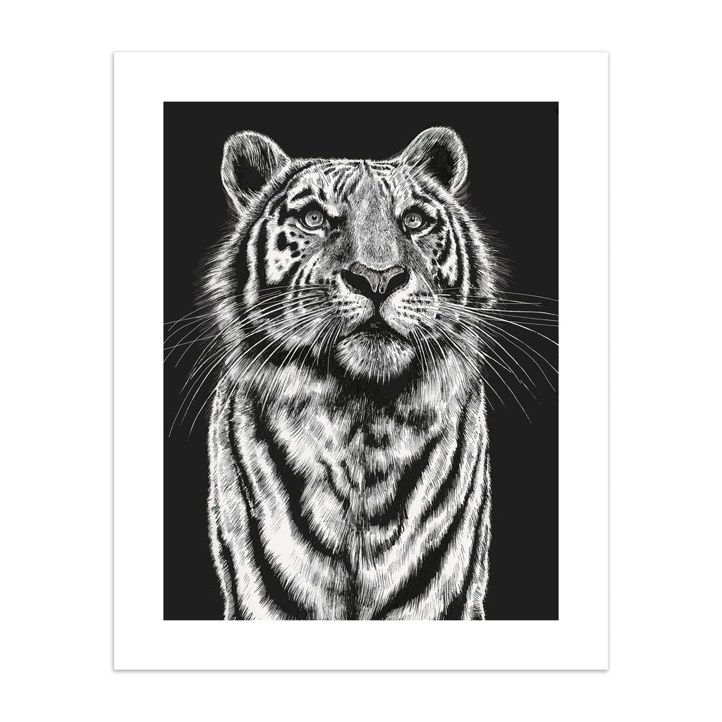 Striking art print featuring a detailed illustration of a tiger gazing upwards, in black and white.