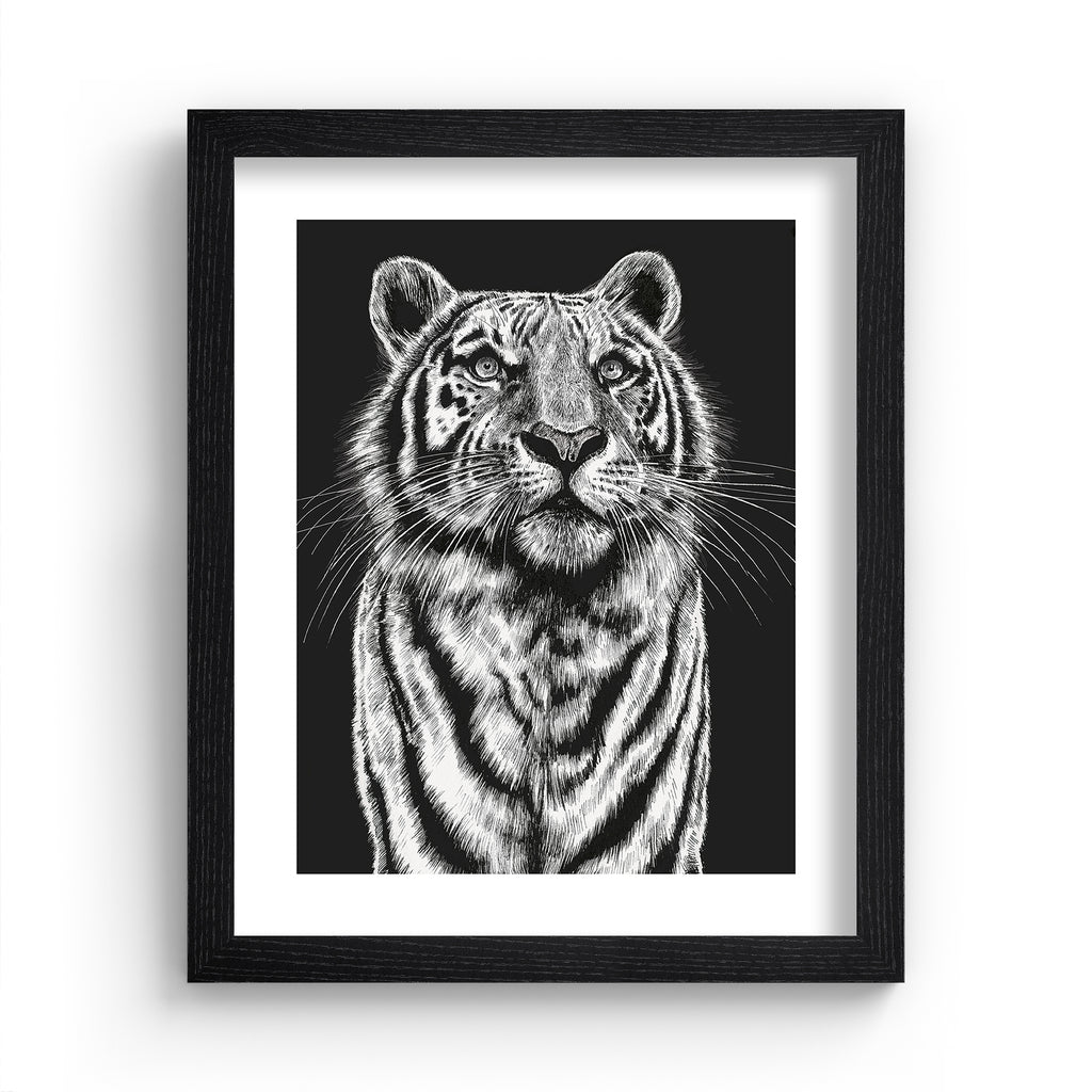 Striking art print featuring a detailed illustration of a tiger gazing upwards, in black and white. Art print is in a black frame.