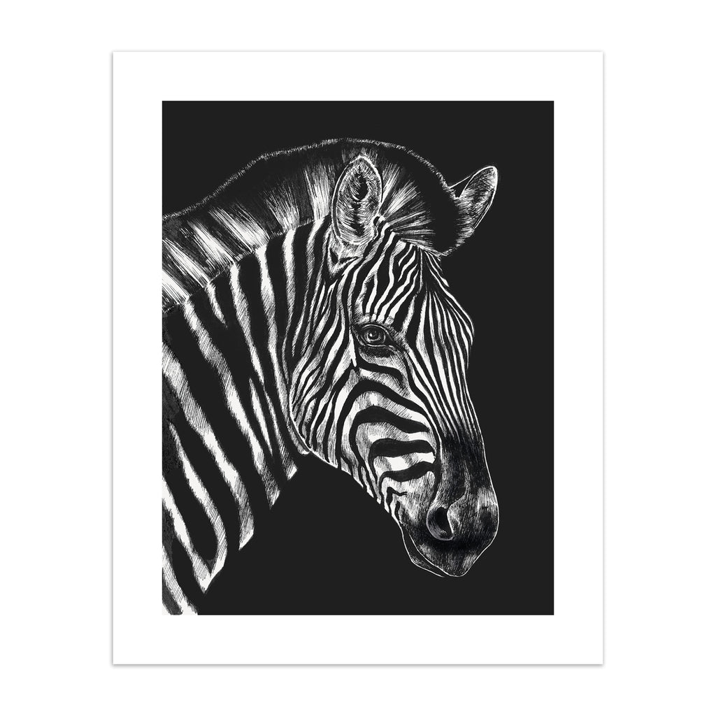 Beautiful art print featuring a detailed illustration of a zebra, in black and white. 