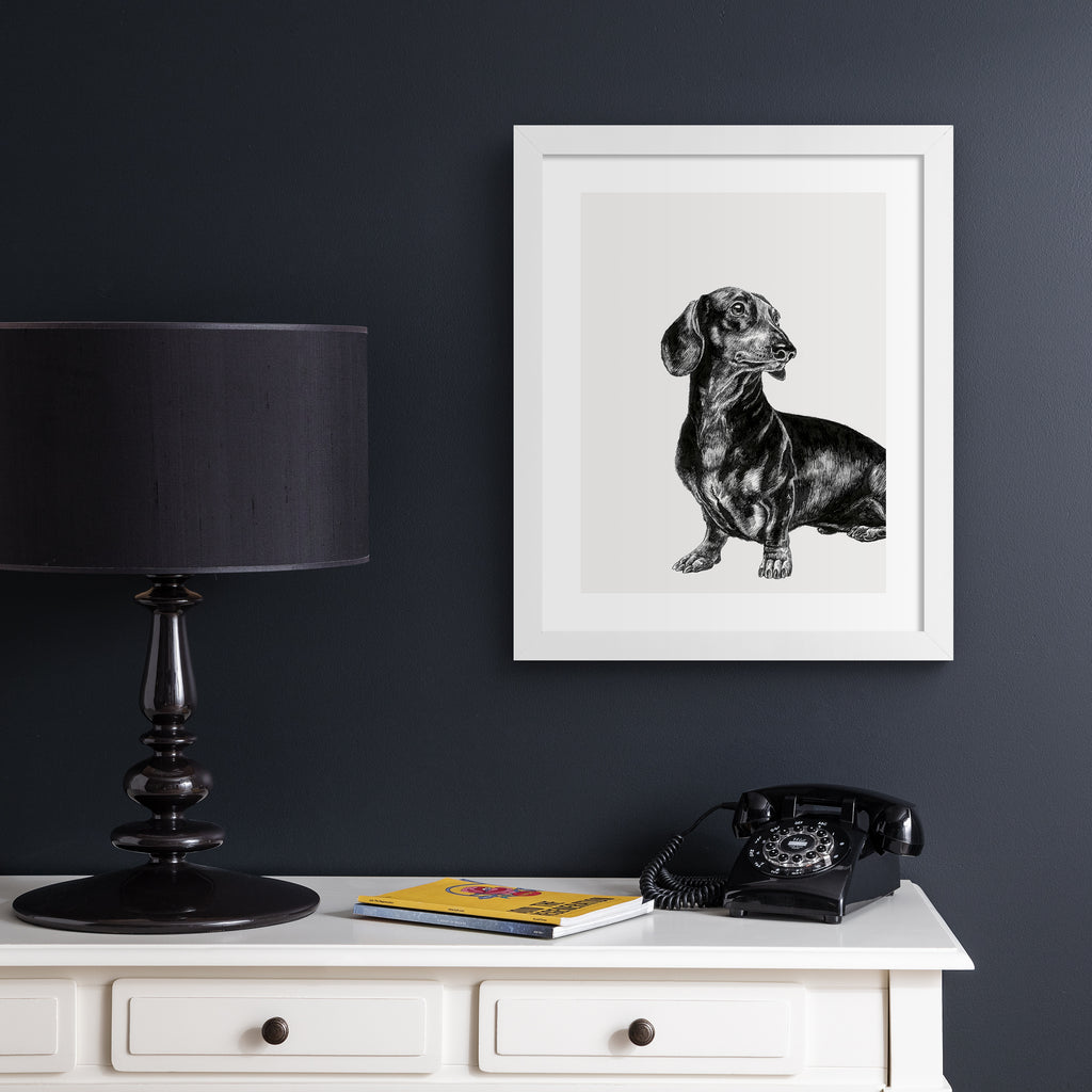 Black and white illustration featuring a detailed drawing of a Dachshund dog, hung up on a navy blue wall.