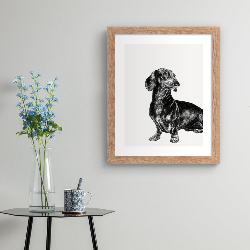 Black and white illustration featuring a detailed drawing of a Dachshund dog, hung up on a grey wall.