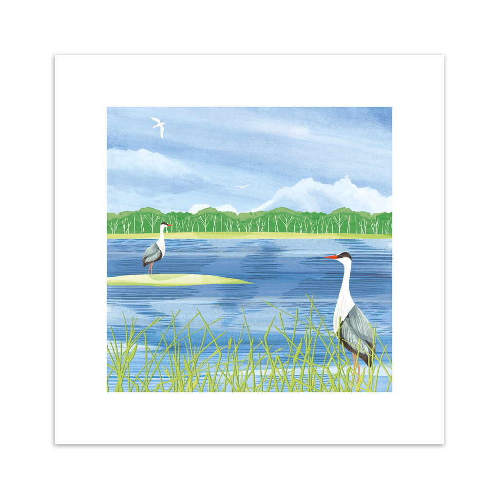 Nature art print featuring two herons standing on the edge of a bright blue lake, boarding a forest.